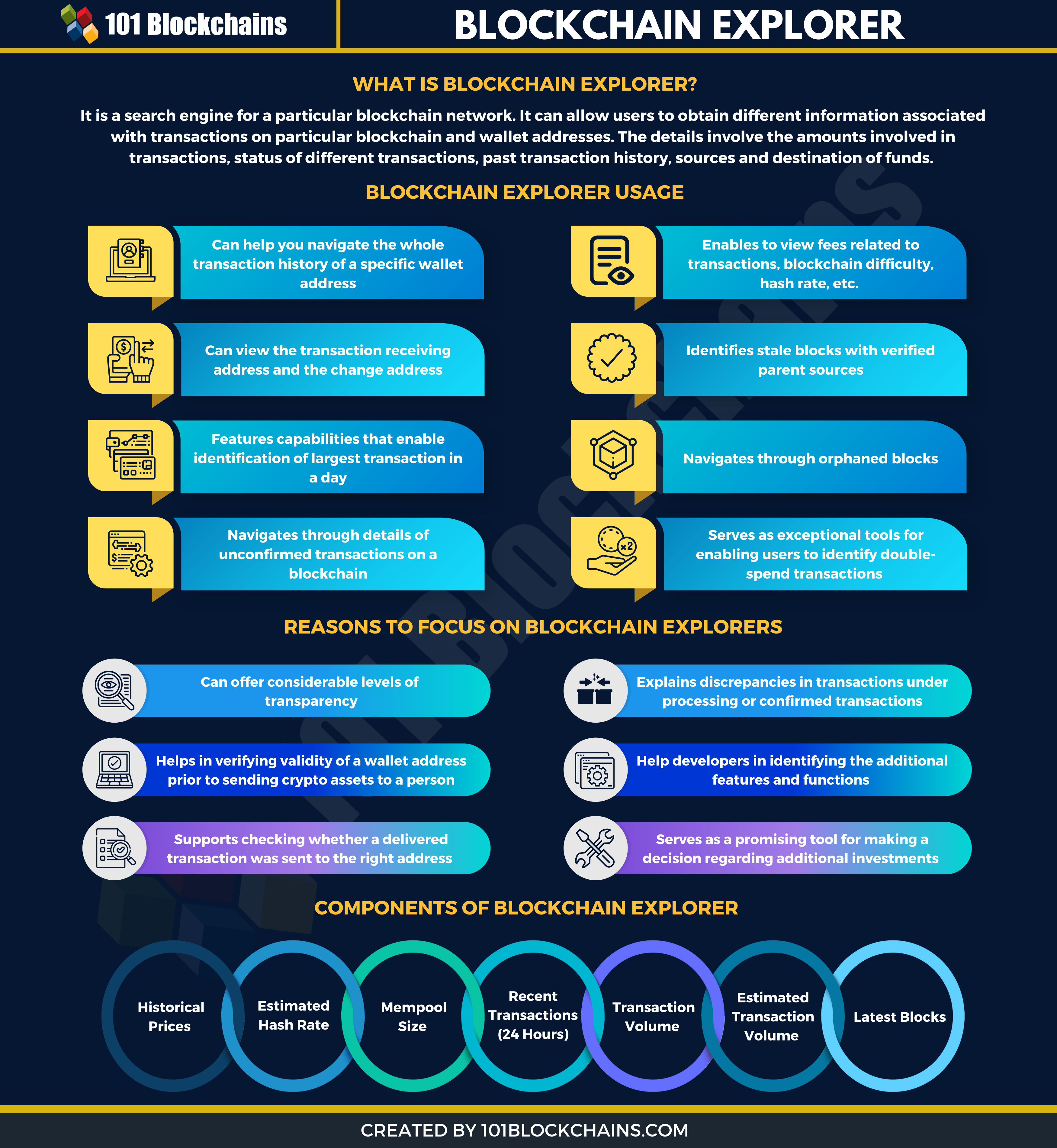 blockchain explorer infographic